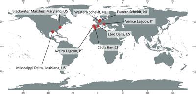 Satellite-Derived Trends in Inundation Frequency Reveal the Fate of Saltmarshes